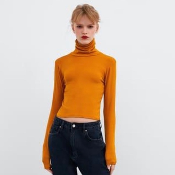 Zara | Sweaters | Zara Mock Turtleneck 